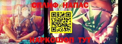 индика Будённовск